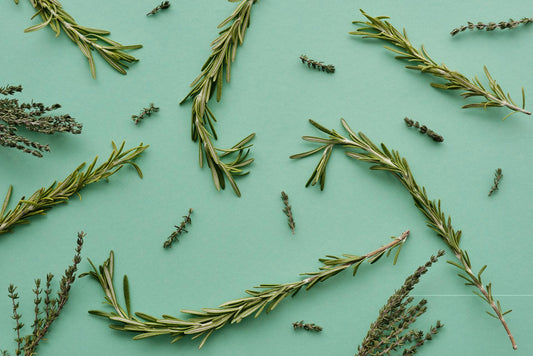 Rosemary for Hair Growth: Can This Traditional Herb Support Hair Health?